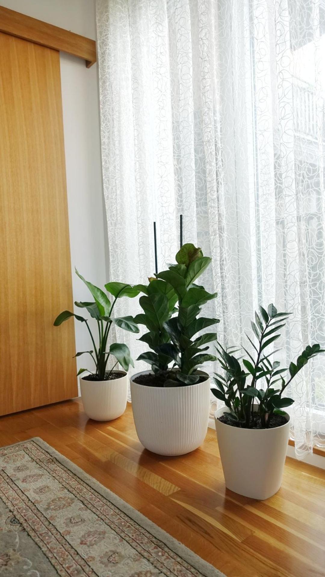 Jc10 Apartment 3 Bedroom, Free Parking, 73Sqm Novi Sad Ngoại thất bức ảnh